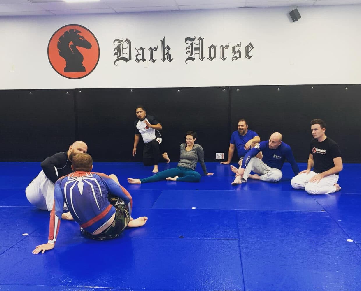 Why Brazilian Jiu Jitsu is the Best Martial Art for You - Dark Horse  Brazilian Jiu-Jitsu Longmont